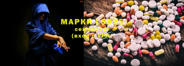 apvp Дмитров
