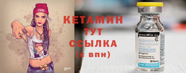 соль ск Ельня