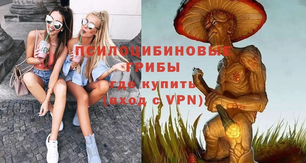 apvp Дмитров