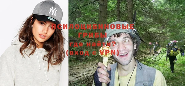 прущая мука Дмитровск
