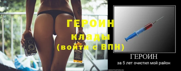 соль ск Ельня