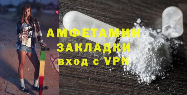 соль ск Ельня