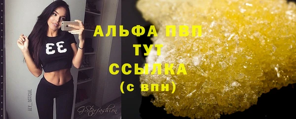 соль ск Ельня