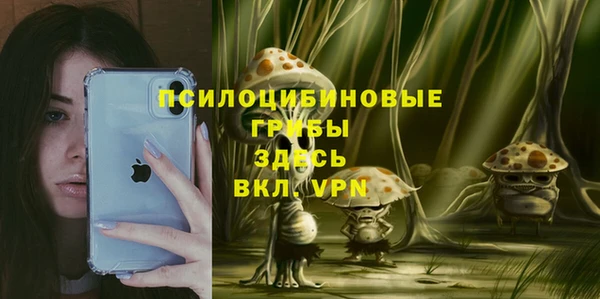 прущая мука Дмитровск