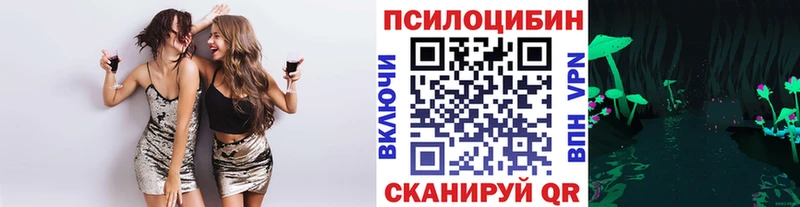 Купить где  Кириллов  Псилоцибиновые грибы мухоморы 